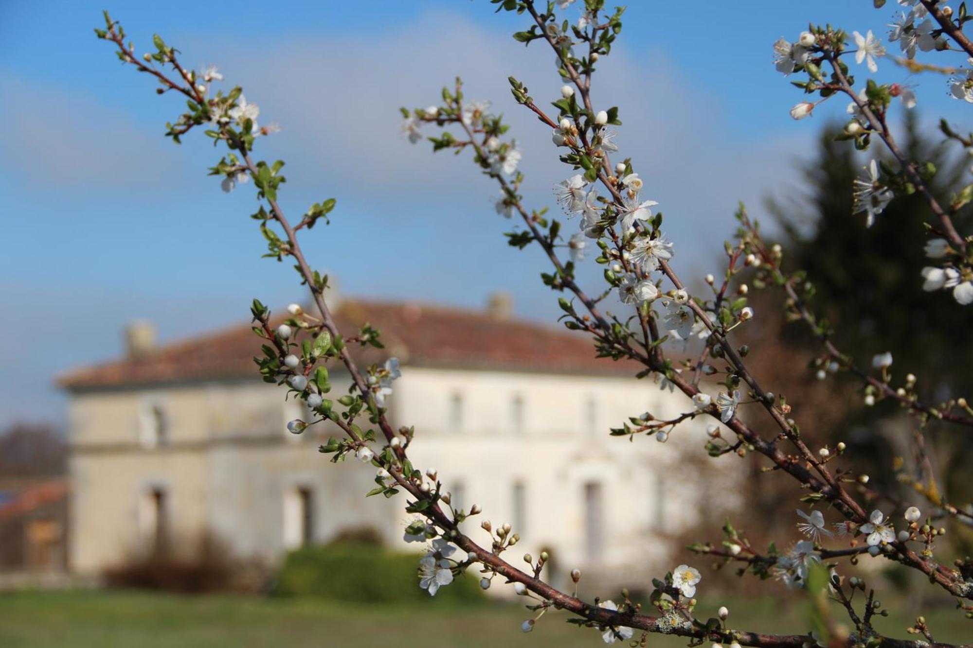 Domaine Terroceane Hotel La-Gripperie-Saint-Symphorien Exterior foto